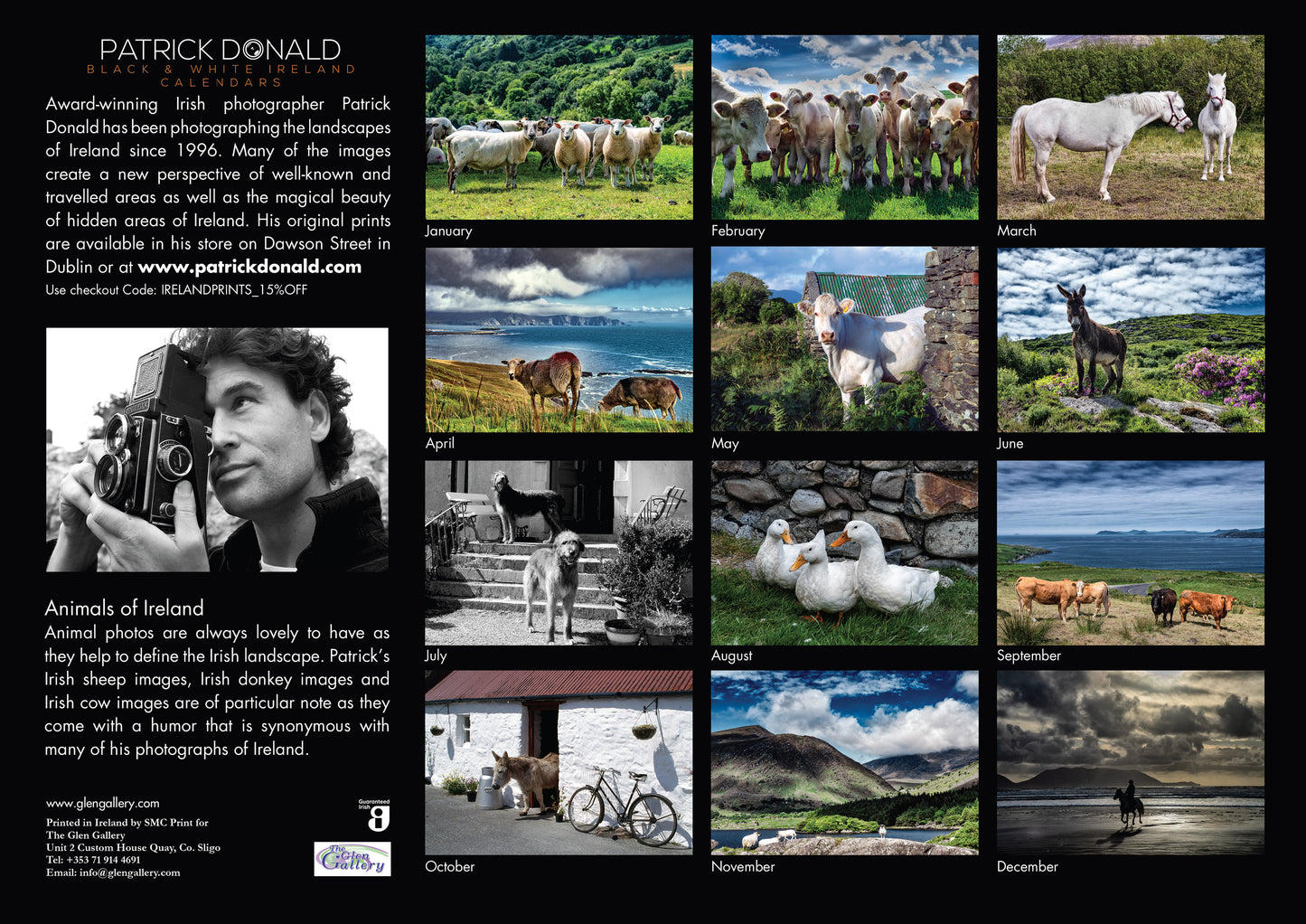 Animals Of Ireland 2026 Calendar