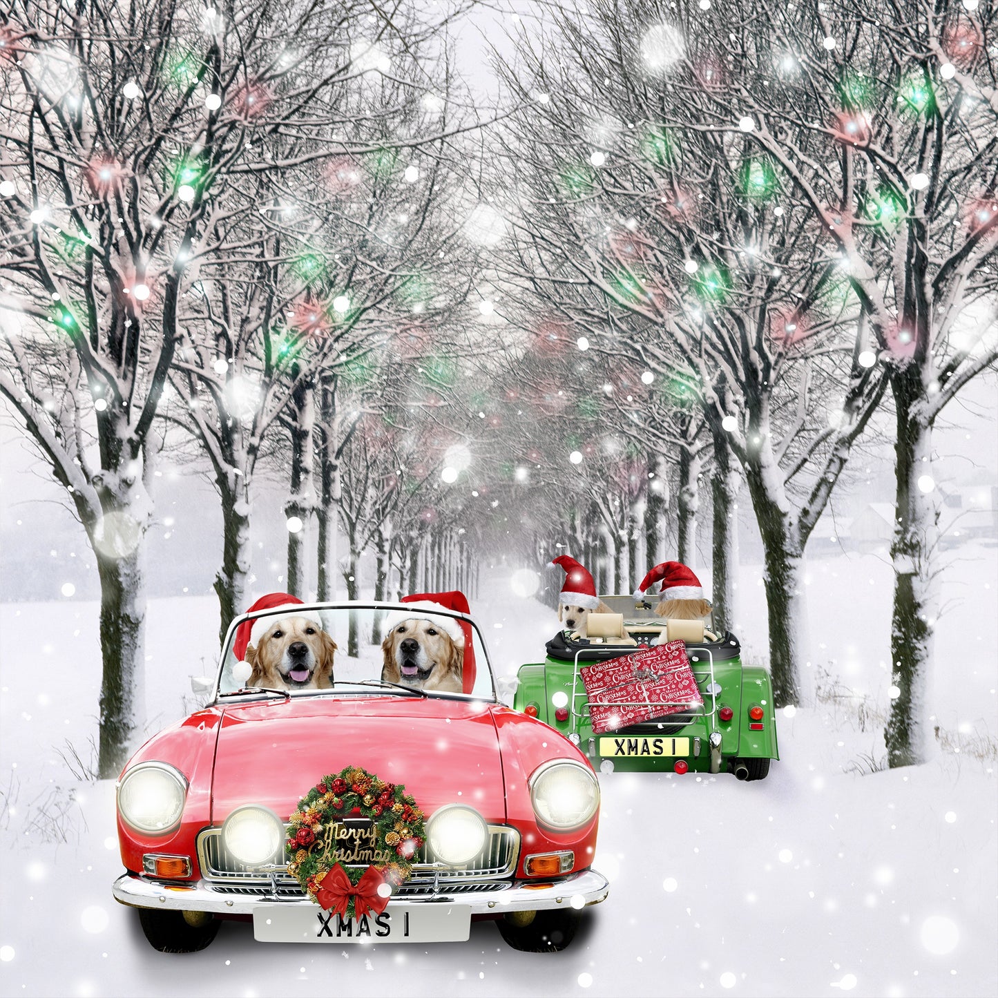 Dogs in Car, SVP Charity Christmas Cards