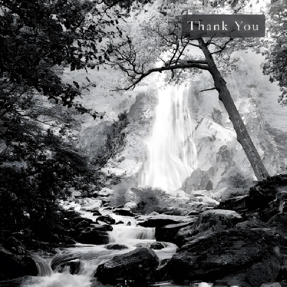 Powerscourt Waterfall Thank You Notelets