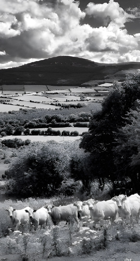 Down By Mount Brandon, Slimline Notebook