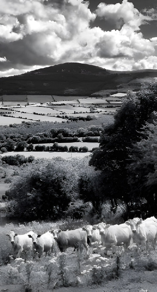 Down By Mount Brandon, Slimline Notebook