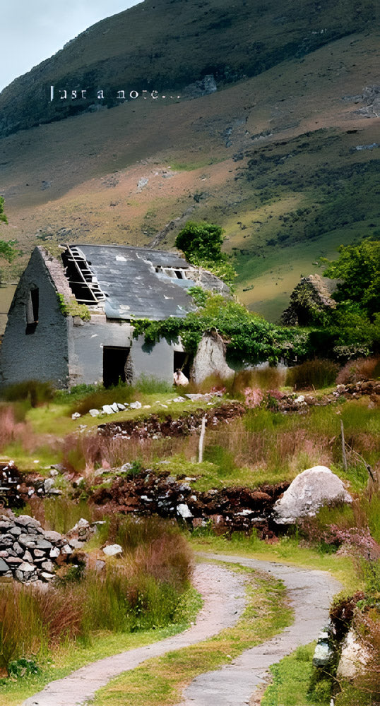 Derelict Cottage, Slimline Notebook