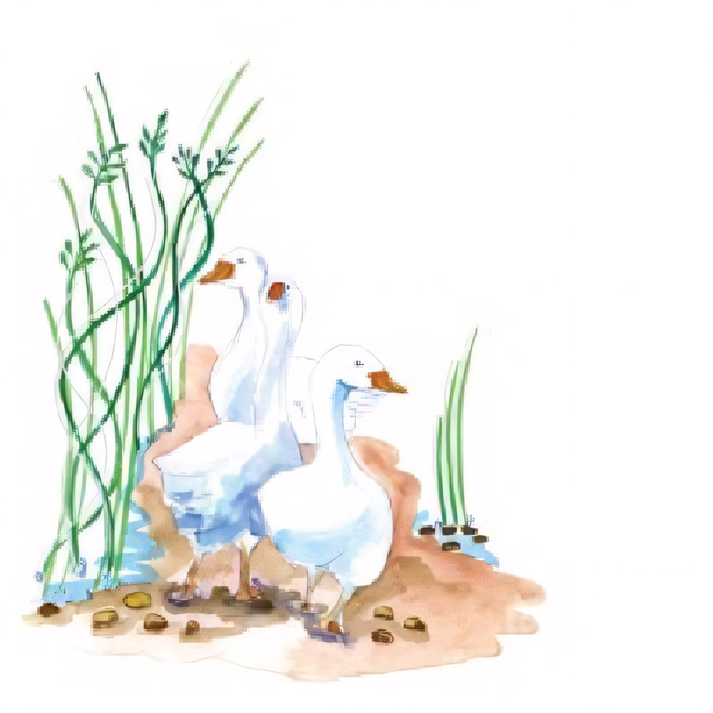 Geese Notelet