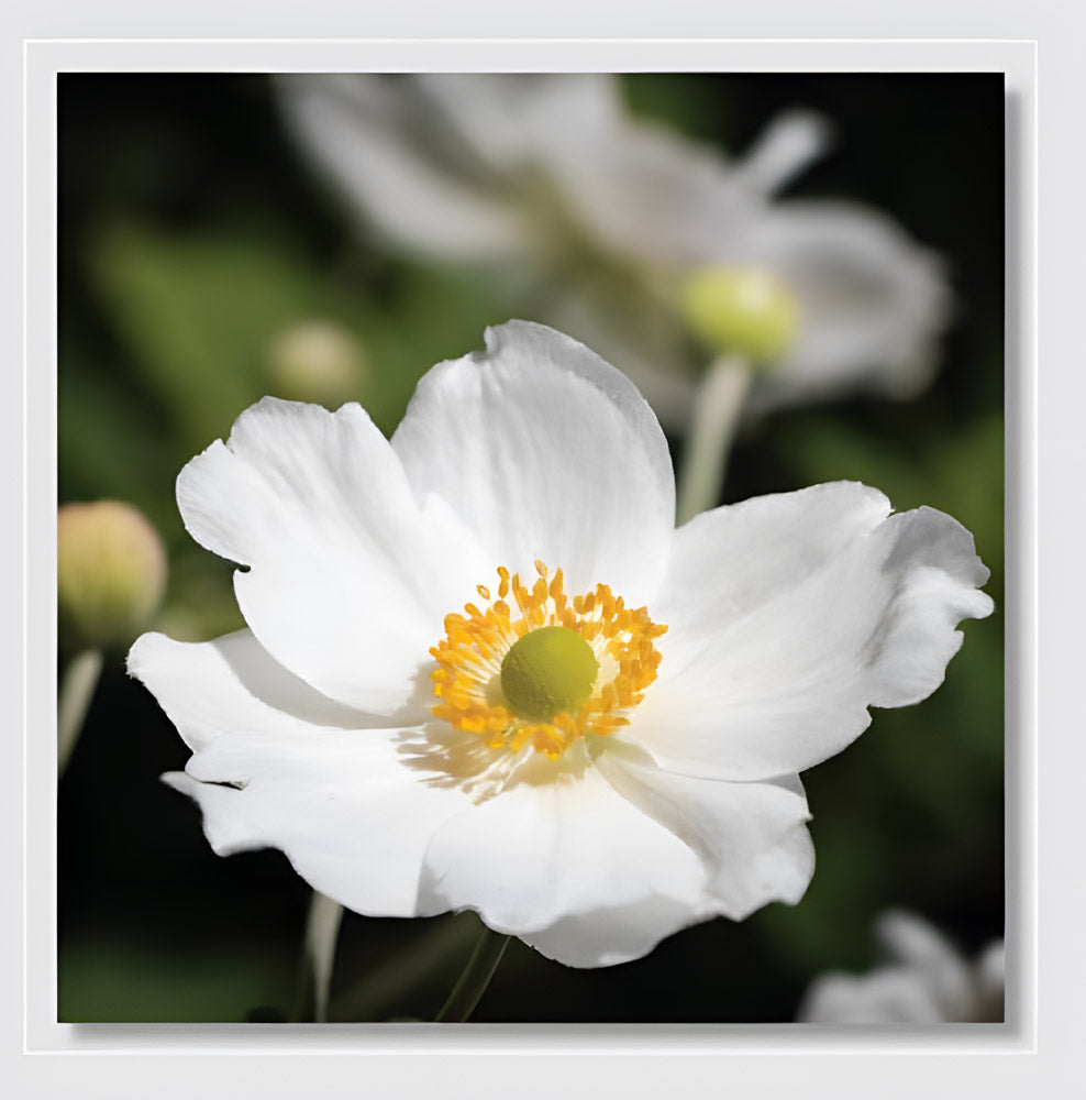 E966 Blank Card