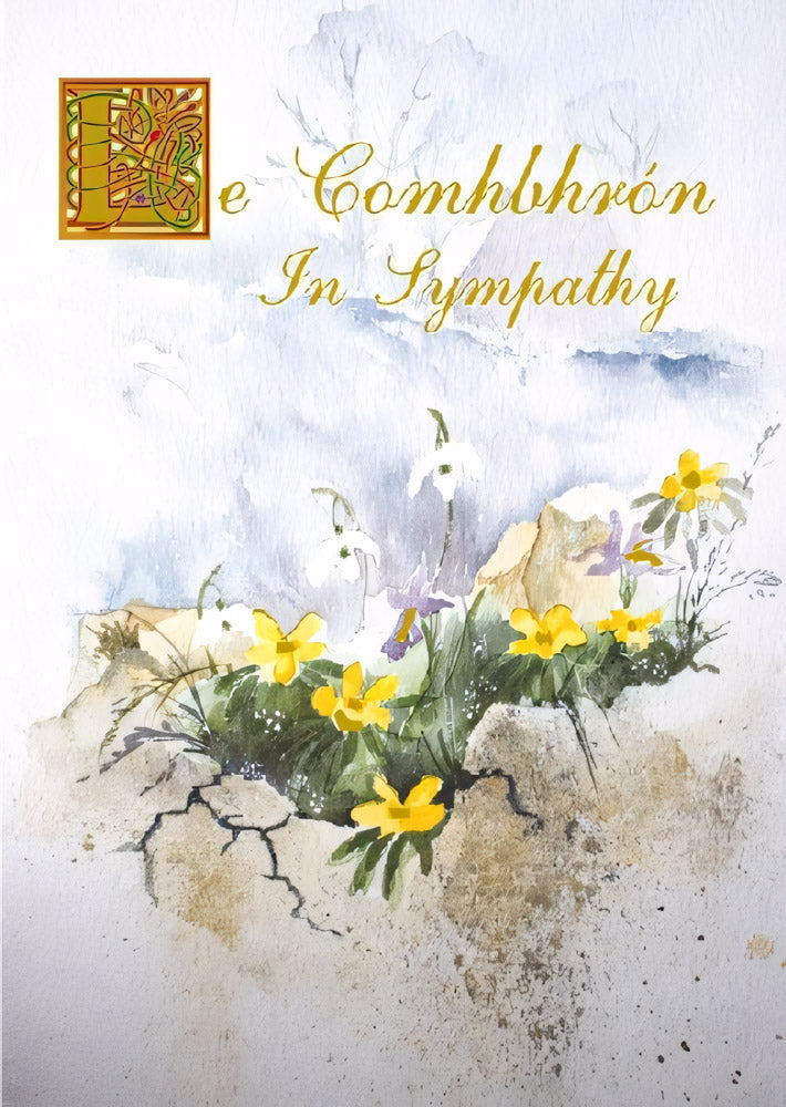 In Sympathy