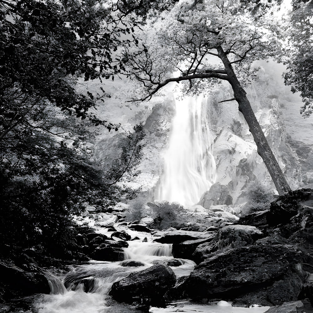 Powerscourt Waterfall