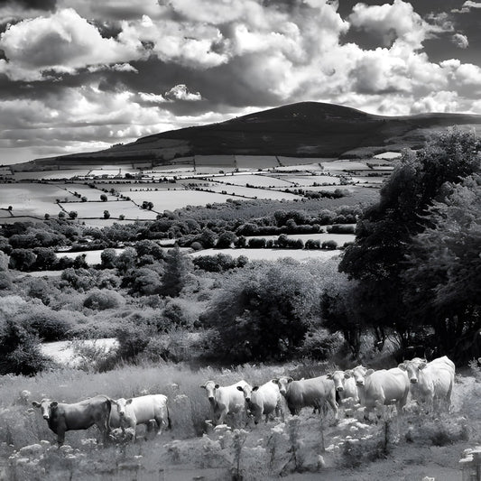 Down by Mount Brandon