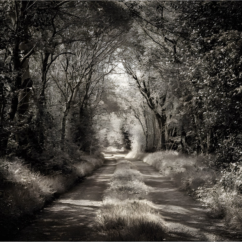 The Road Less Travelled