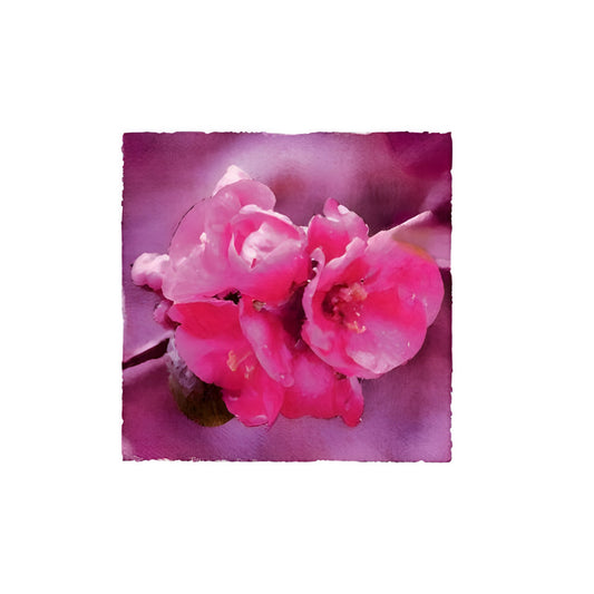 Crab Apple Blossom Thank You Pack