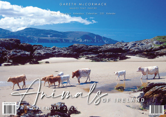 Animals Of Ireland 2025 Calendar