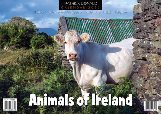 Animals Of Ireland 2026 Calendar