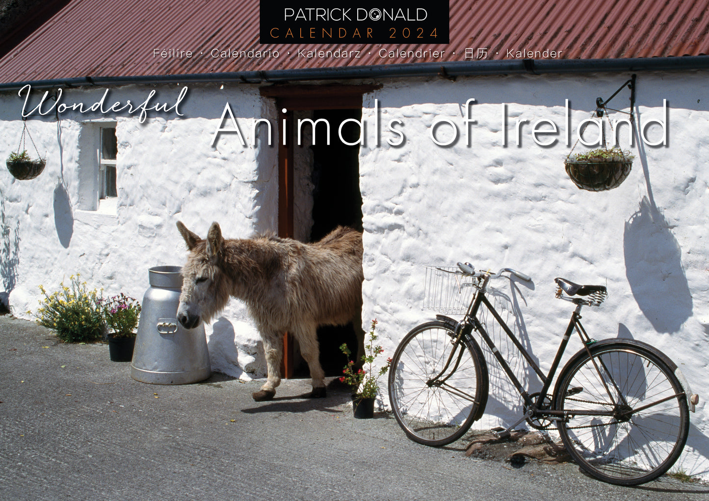Animals Of Ireland 2024