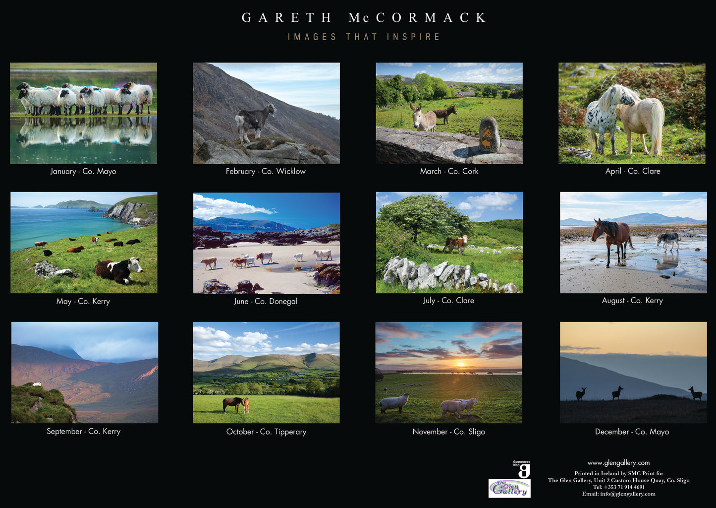 Animals Of Ireland 2025 Calendar