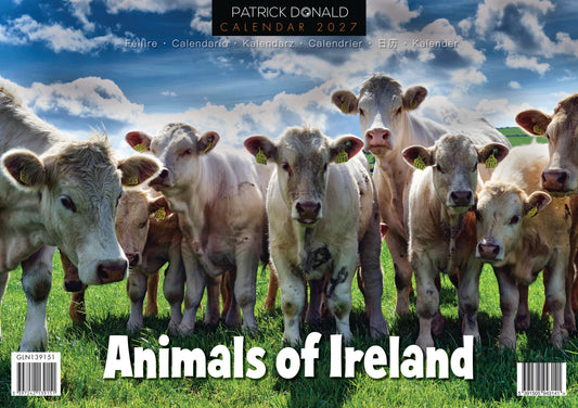 Animals Of Ireland 2027 Calendar