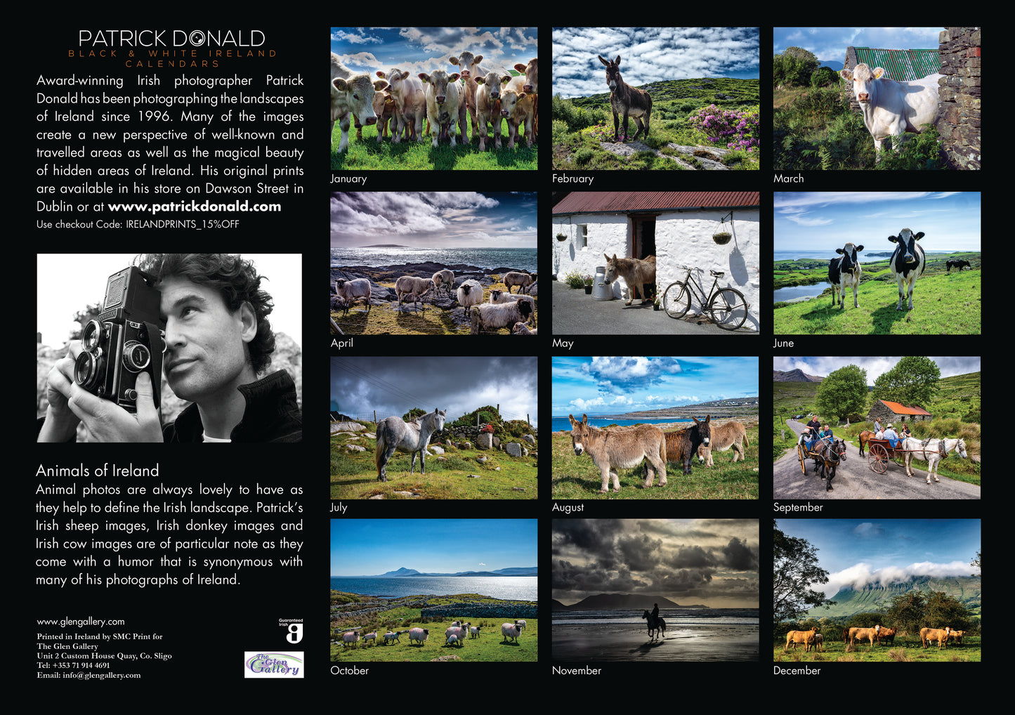 Animals Of Ireland 2027 Calendar