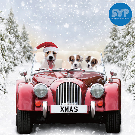 Dogs in Car, SVP Charity Christmas Cards