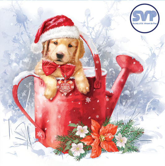 SVP Charity Christmas Cards Christmas Puppies