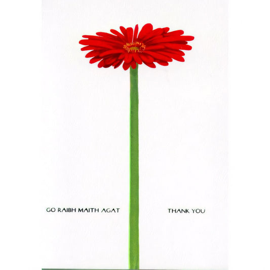 Gerbera Thank You