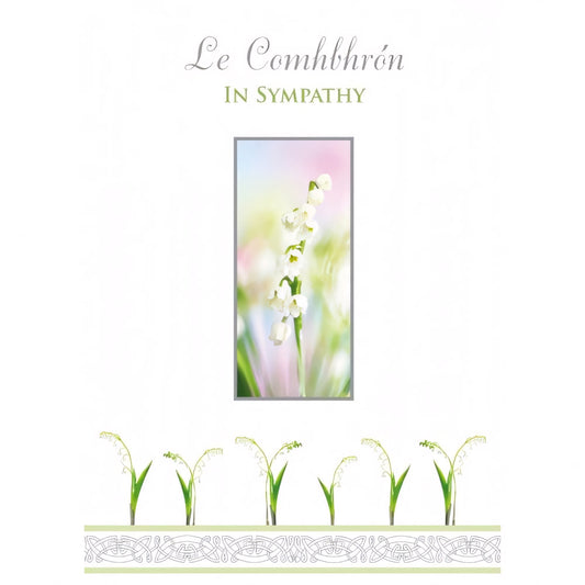 Lily of the Sympathy Card