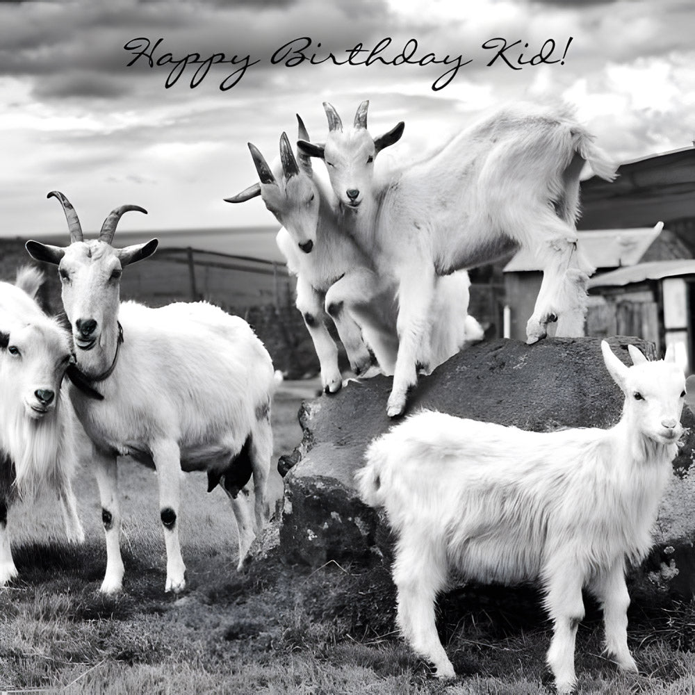Goats Dingle, Co. Kerry